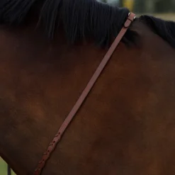 CommonWealth Laced Reins