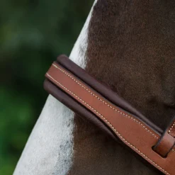 CommonWealth Soft Bridle with Removable Flash