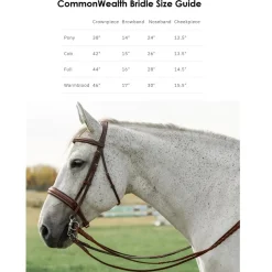 CommonWealth Soft Bridle with Removable Flash