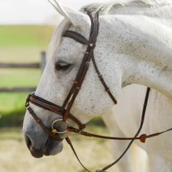 CommonWealth Soft Bridle with Removable Flash