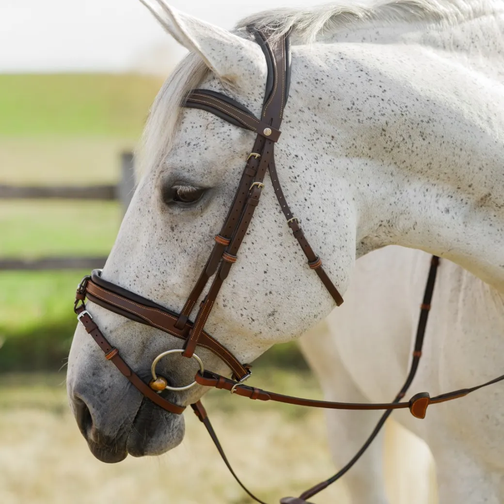 CommonWealth Soft Bridle with Removable Flash