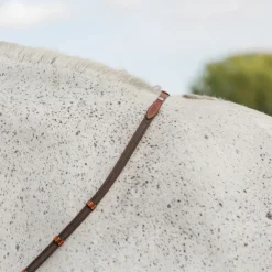 CommonWealth Steady Feel Reins + Stops