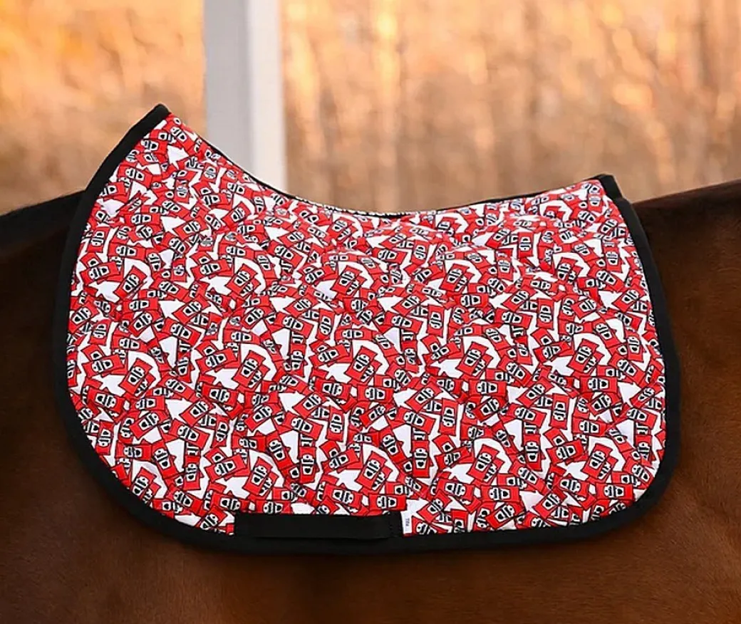 Dreamers & Schemers Saddle Pads AP