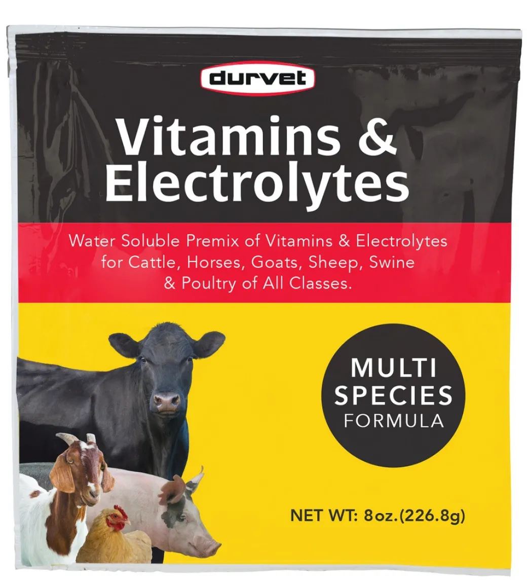 Durvet Vitamins & Electrolytes Multi Species