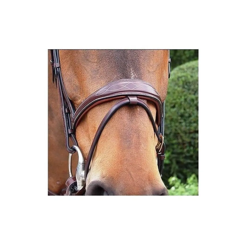 Dy'on Anatomic Flash Noseband Bridle