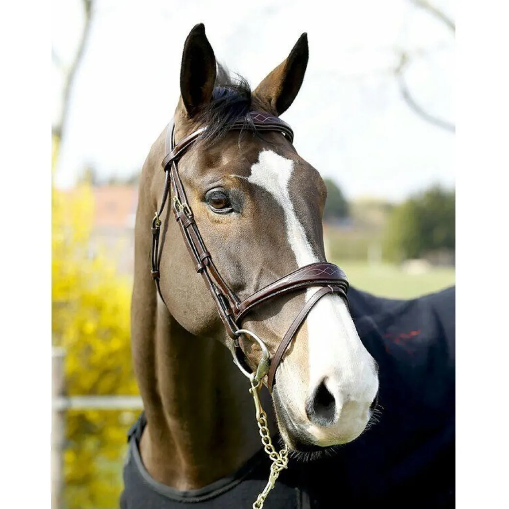 Dy'on Anatomic Flash Noseband Bridle