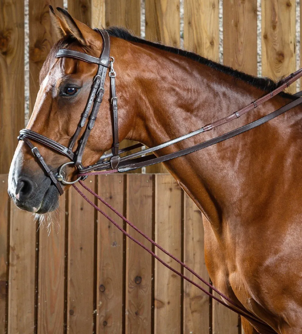 Dy'on Rope Draw Reins