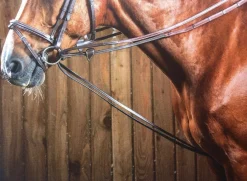 Dy'on Rubber Lined Hunter Draw Reins