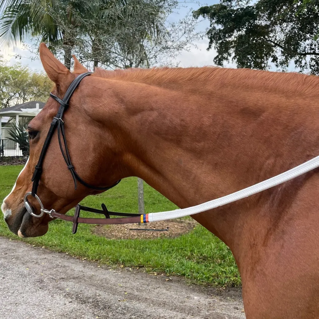DziaSport Easy-Change Bridle