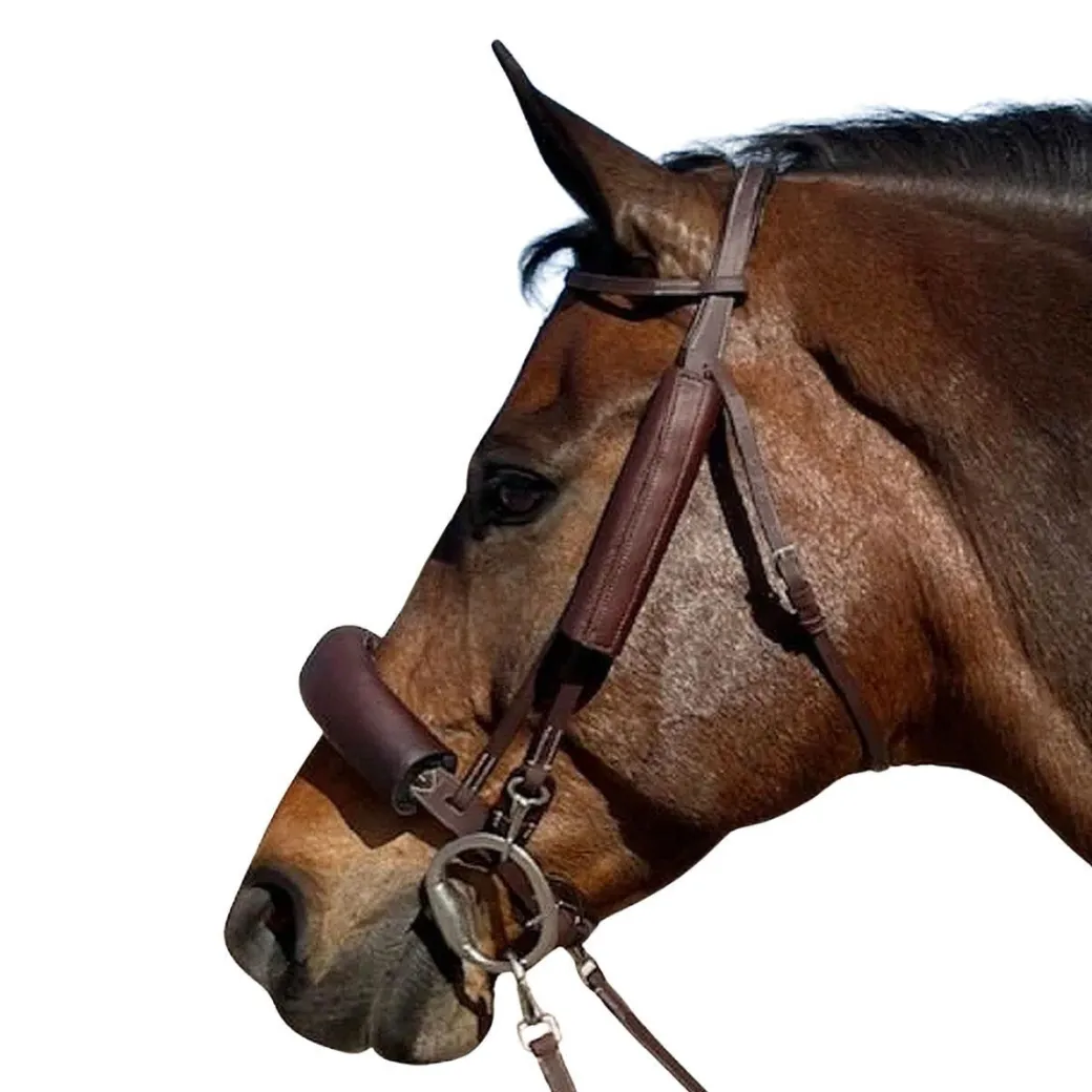 DziaSport Happy Horse Eyes Forward Leather Blinkers