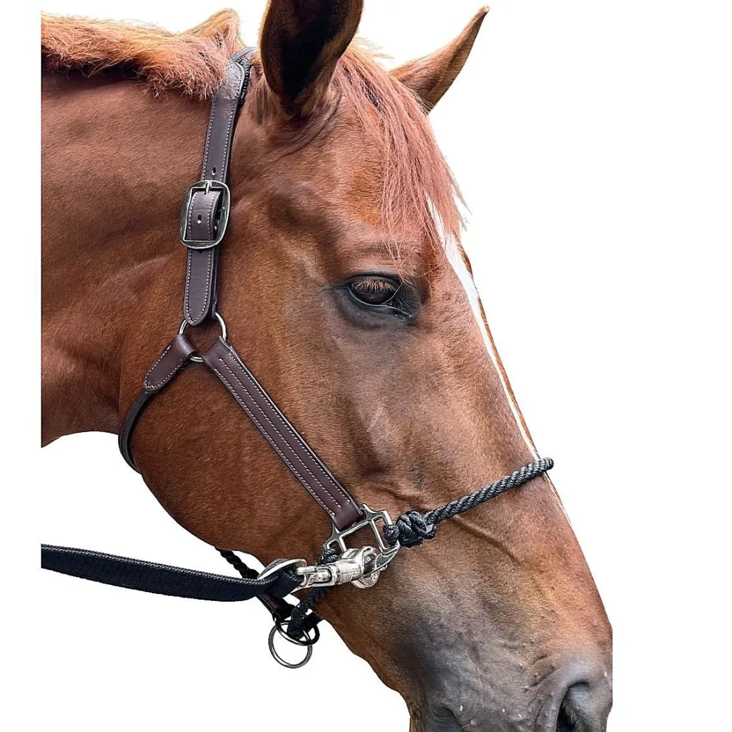DziaSport Happy Horse Hybrid Halter