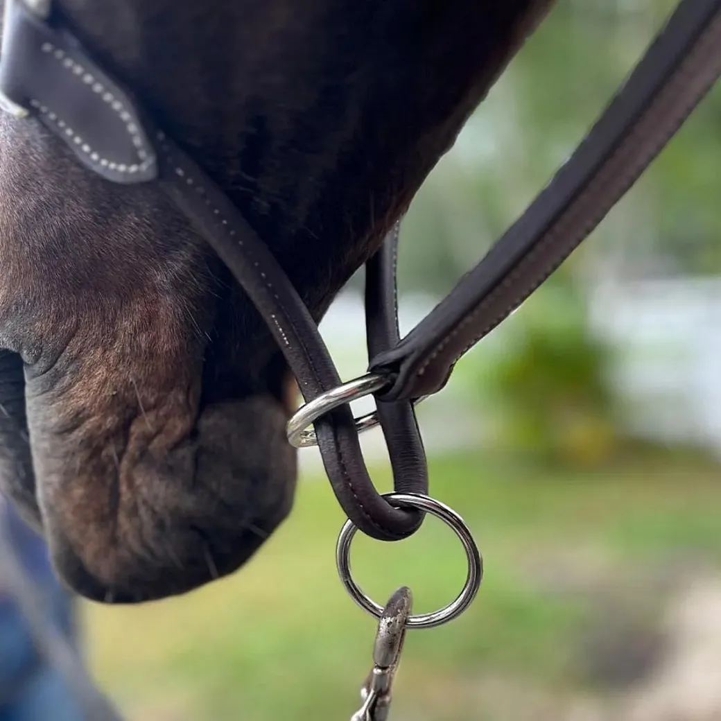 DziaSport Happy Horse Leather Halter