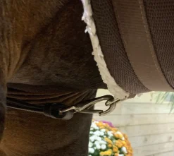 DziaSport Standing Martingale