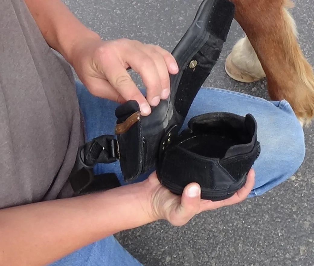 Easyboot New Trail Hoof Boot - Sizes 0-6