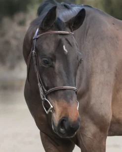 Edgewood Raised Fancy Stitch Bridle