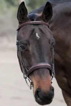 Edgewood Raised Padded Fancy Stitch Bridle