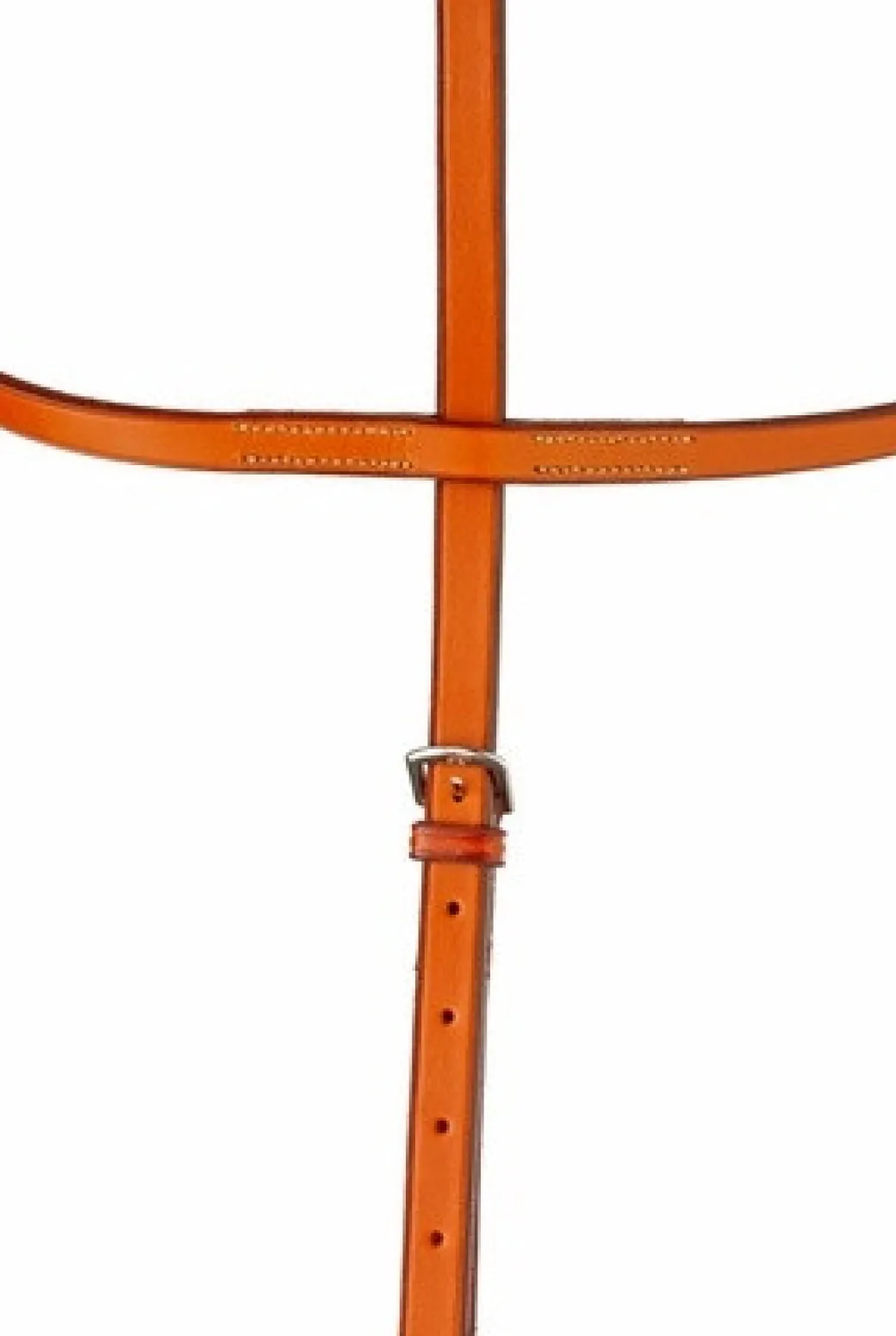 Edgewood Running Martingale