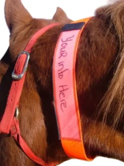 EquestriSafe Horse Identification Collar