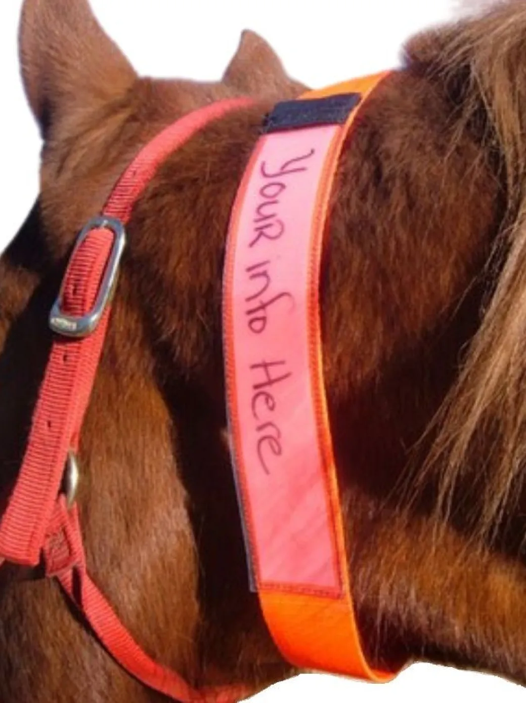 EquestriSafe Horse Identification Collar