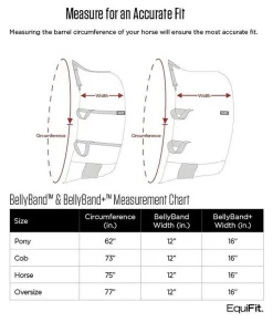 EquiFit BellyBand+