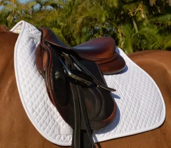 EquiFit Essential Square Pad