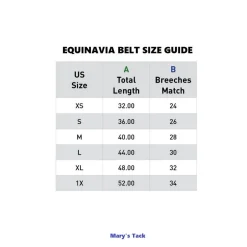 Equinavia Filippa Stitched Leather Belt