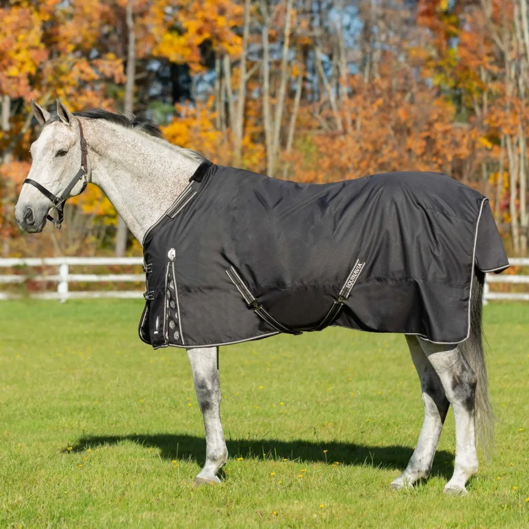 Equinavia Norse Lightweight Turnout Blanket 100g