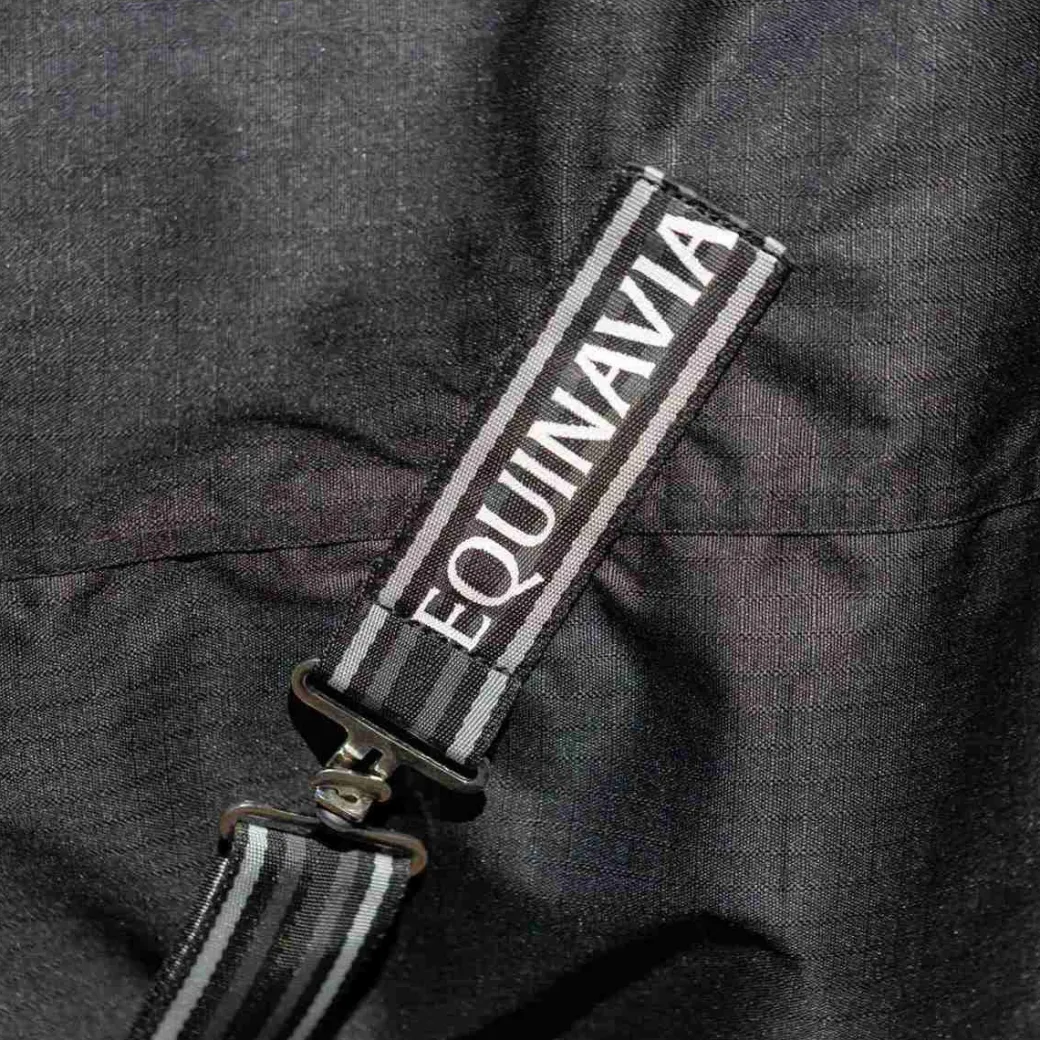 Equinavia Norse Midweight Turnout 200g
