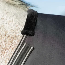 Equinavia Norse Midweight Turnout 200g
