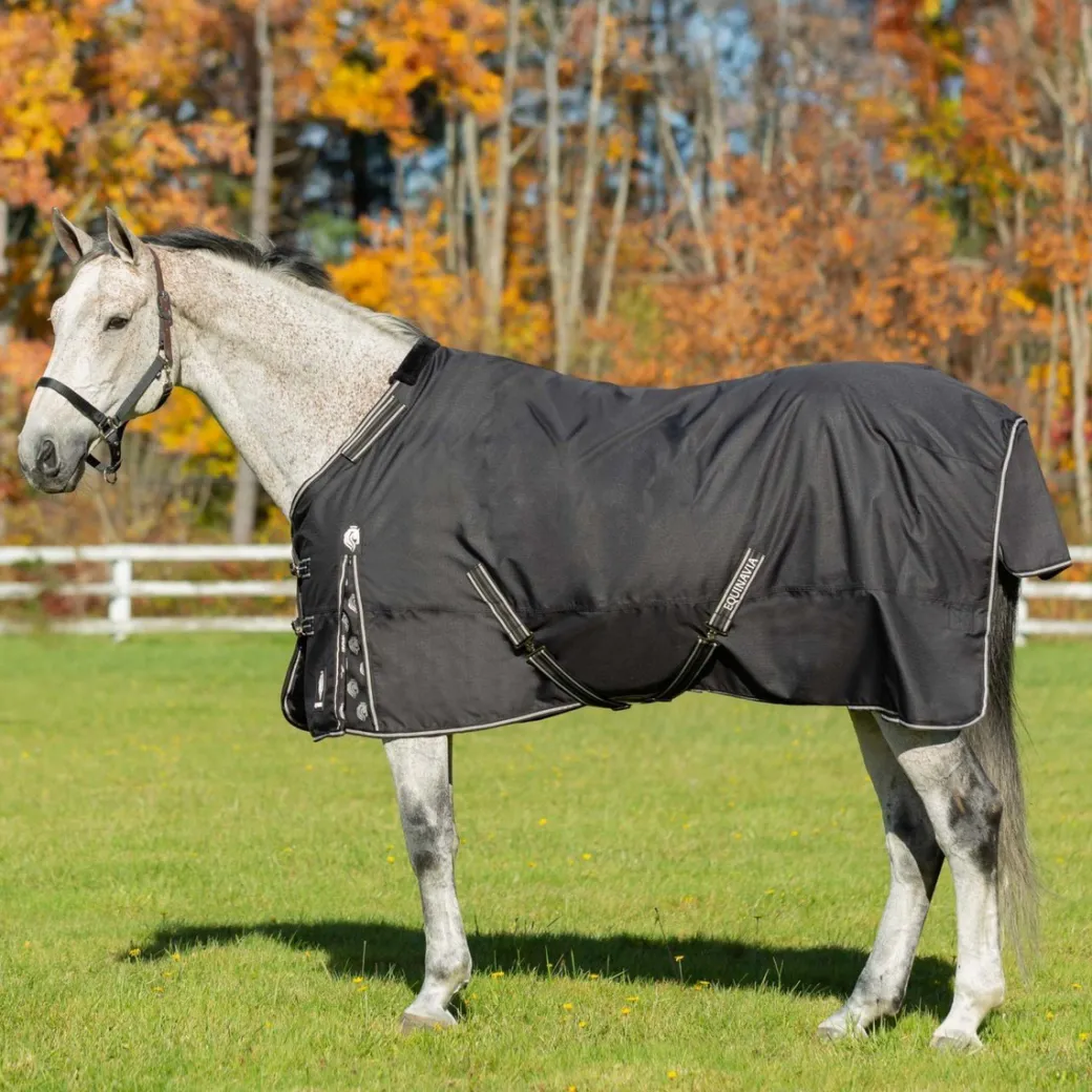 Equinavia Norse Midweight Turnout 200g