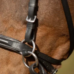 Equinavia Saga Bitless Bridle