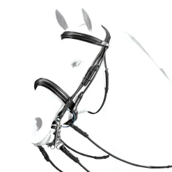Equipe Roll Double Bridle
