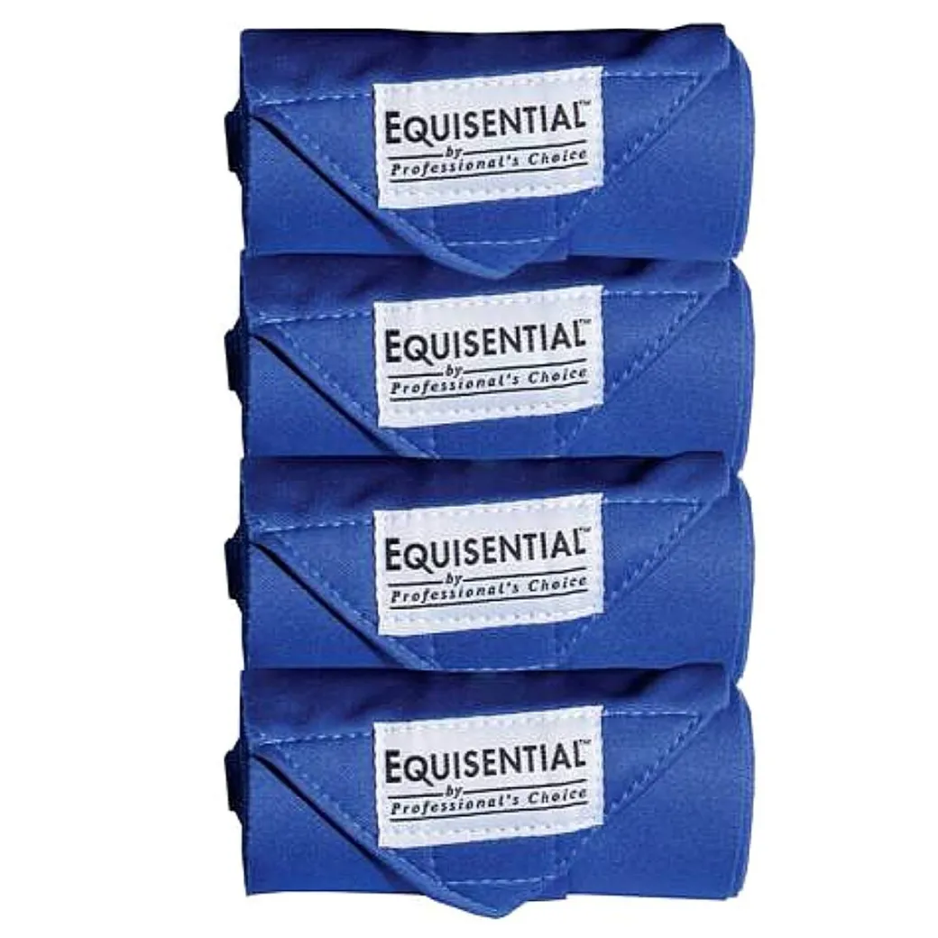Equisential Standing Bandage