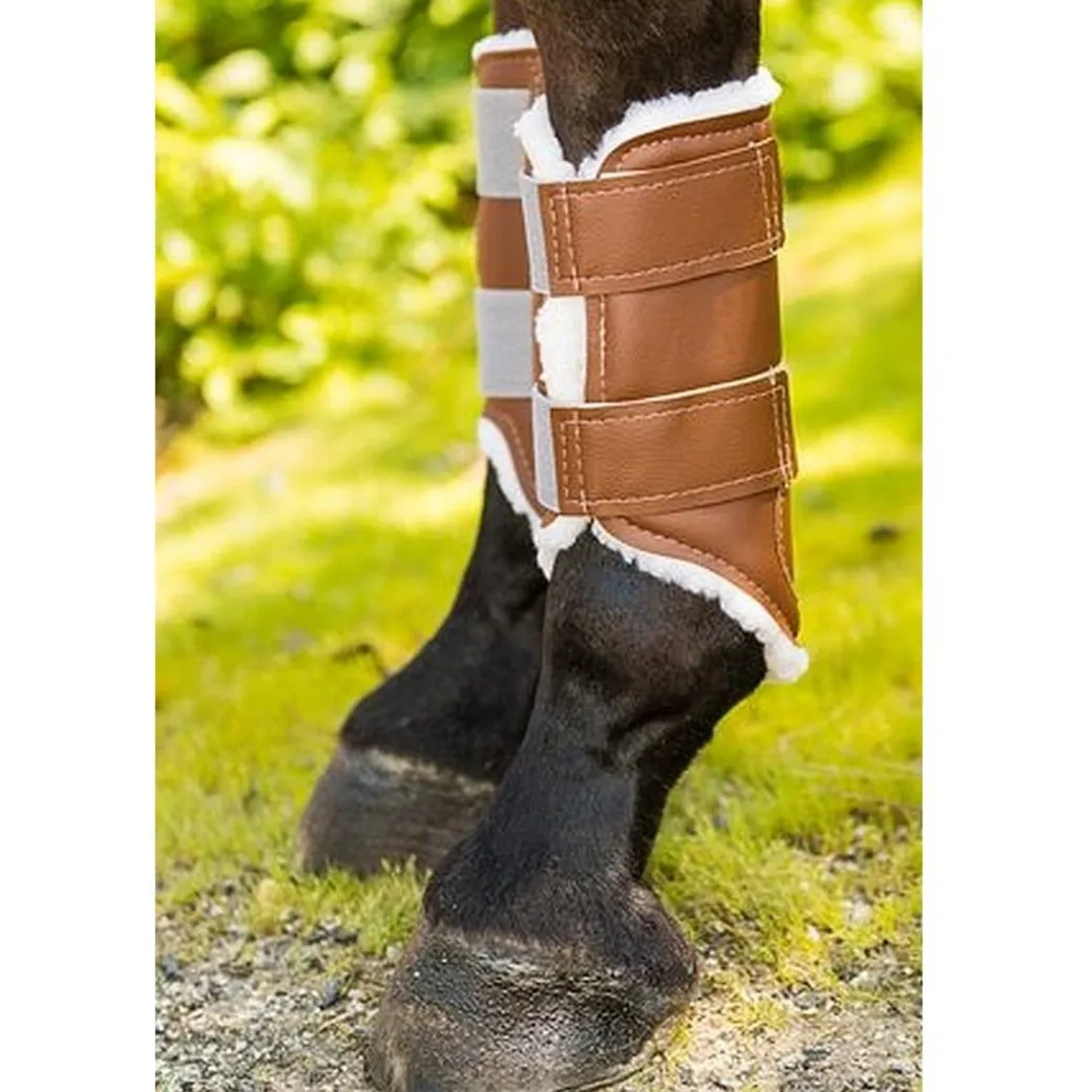 Euro Pro Askan Hind Boots