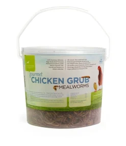 Gourmet Chicken Grub Mealworm Treats 27 oz