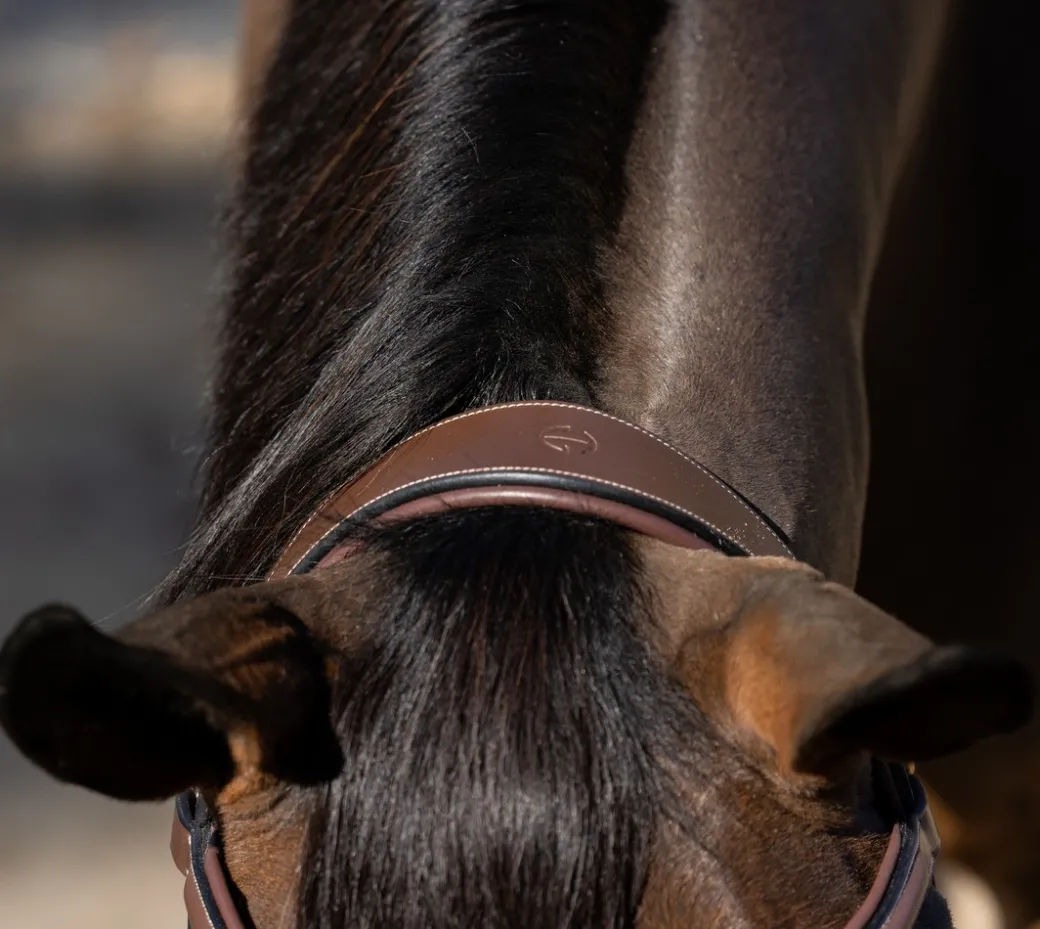 Halter Ego Deauville Anatomical Jumper Bridle