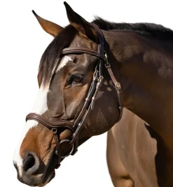 Halter Ego Deauville Anatomical Jumper Bridle