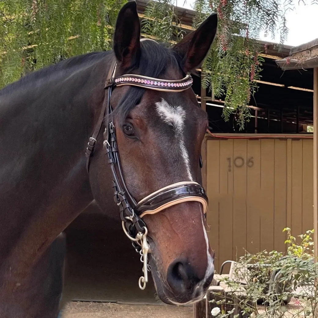 Halter Ego Florence Double Bridle