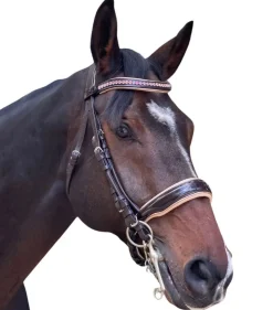 Halter Ego Florence Double Bridle