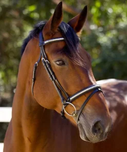 Halter Ego Galway Jumper Bridle