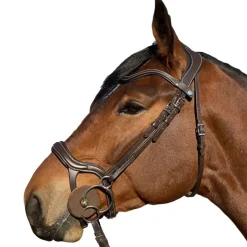 Halter Ego Remington Anatomical Jumper Bridle