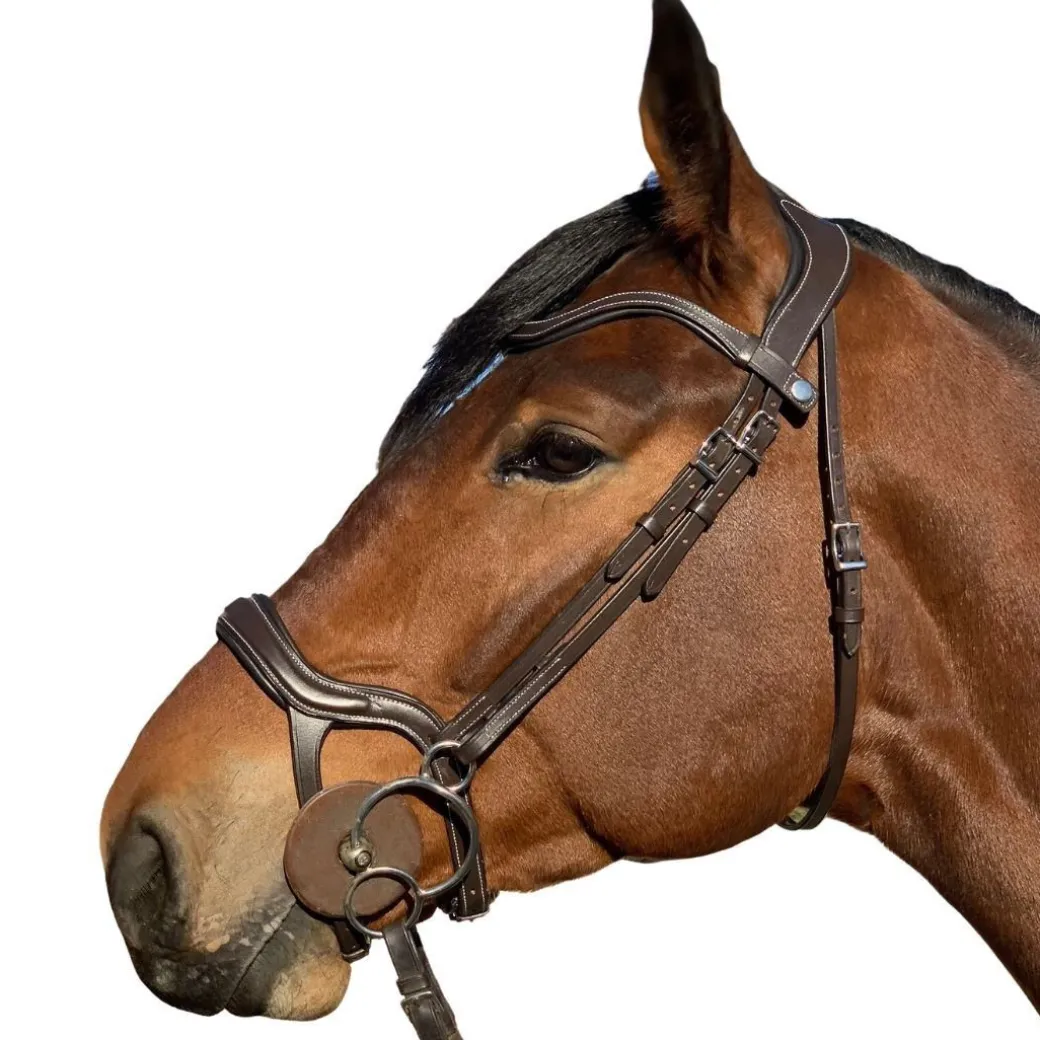 Halter Ego Remington Anatomical Jumper Bridle