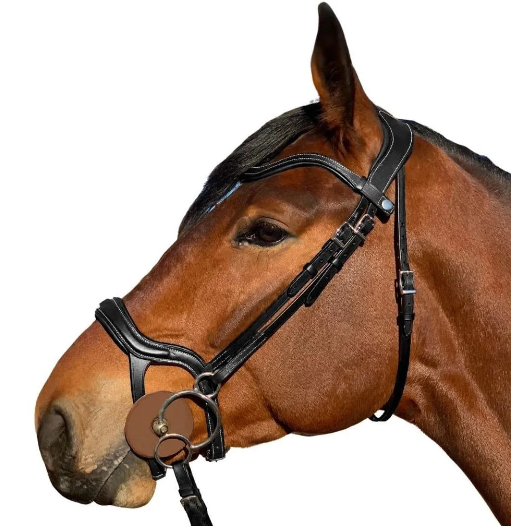 Halter Ego Remington Anatomical Jumper Bridle