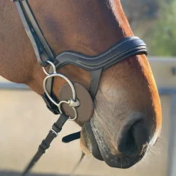 Halter Ego Remington Anatomical Jumper Bridle