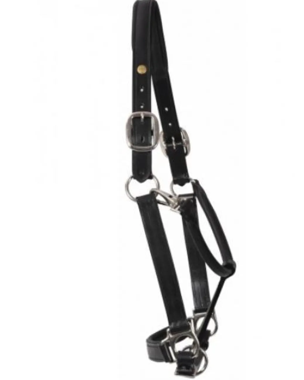 HDR Pony Fancy Padded Leather Halter