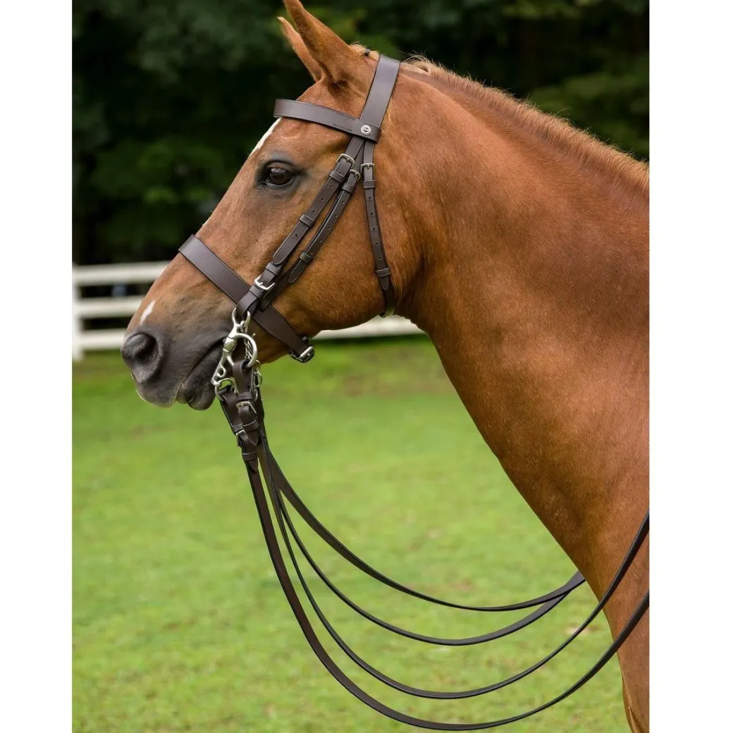 Henri de Rivel Polo Bridle