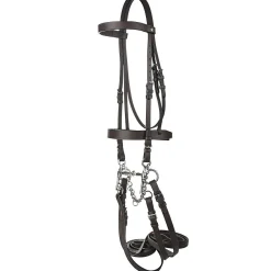 Henri de Rivel Polo Bridle