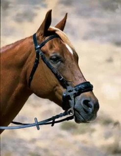 Herm Sprenger Short Shank Padded Hackmore