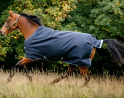 Horseware Amigo Bravo 12 Medium Turnout 250g