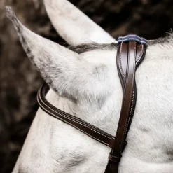 Horseware Micklem Bitless Bridle